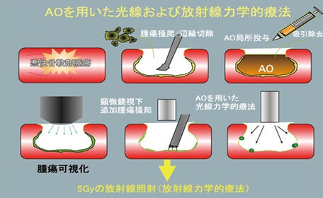 前橋市のまるお動物病院